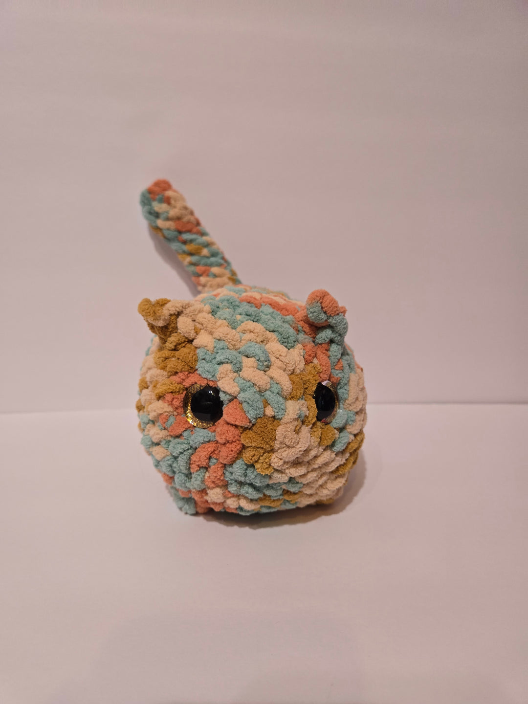 Custom Cat