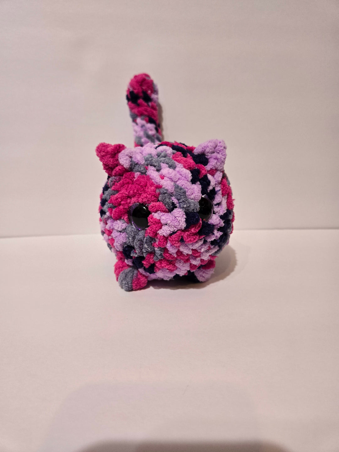 Custom Cat