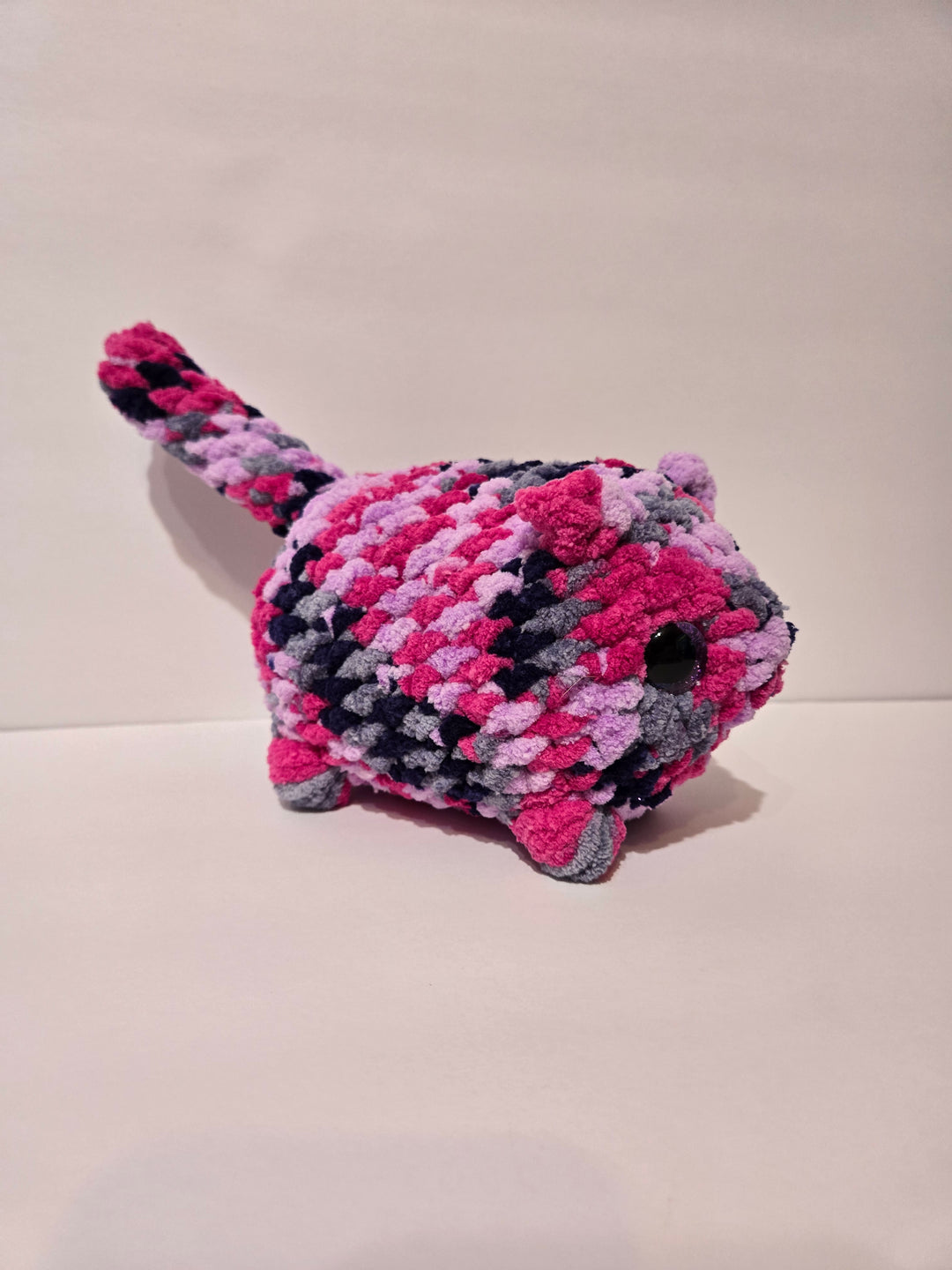 Custom Cat