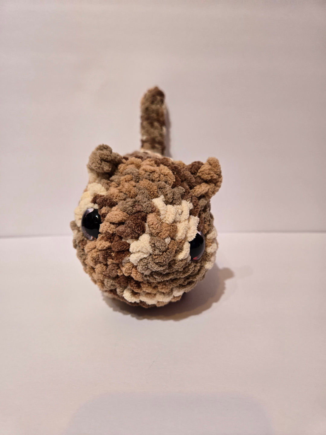 Custom Cat