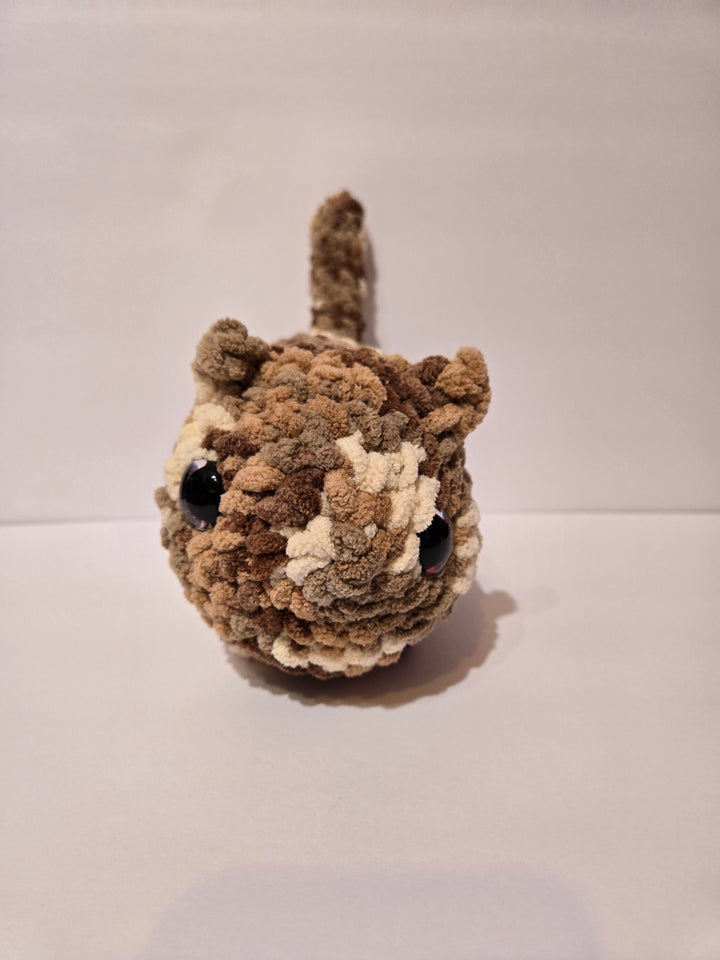 Custom Cat