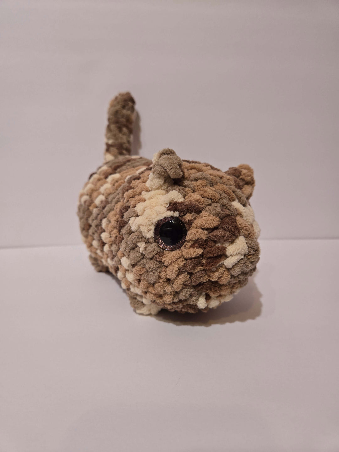 Custom Cat