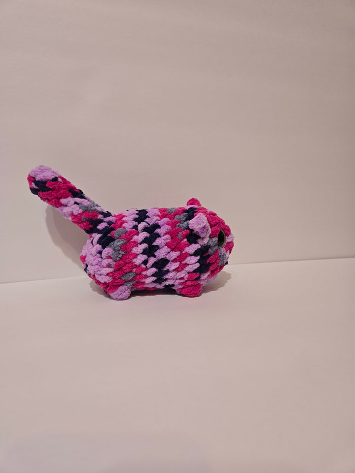 Custom Cat
