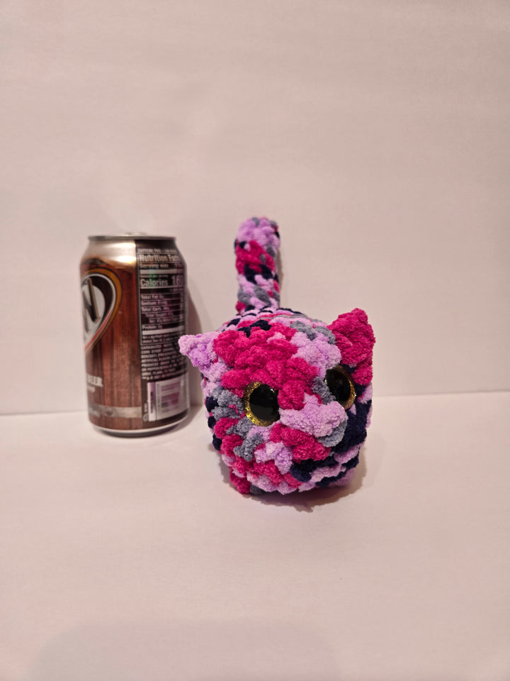 Custom Cat