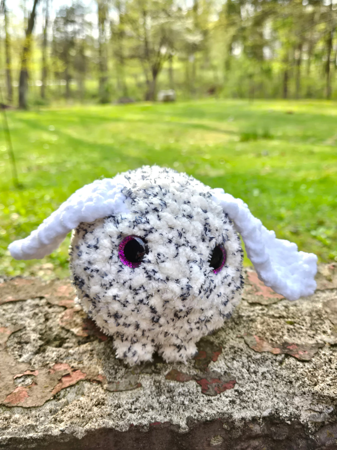 Bunny