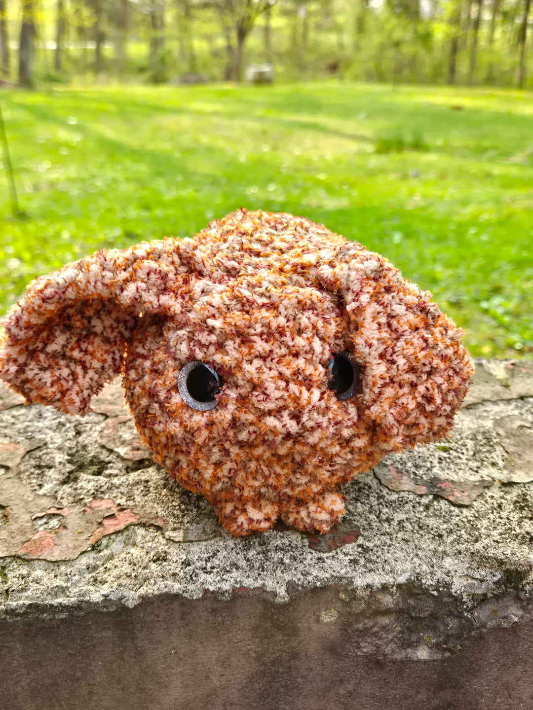 Bunny
