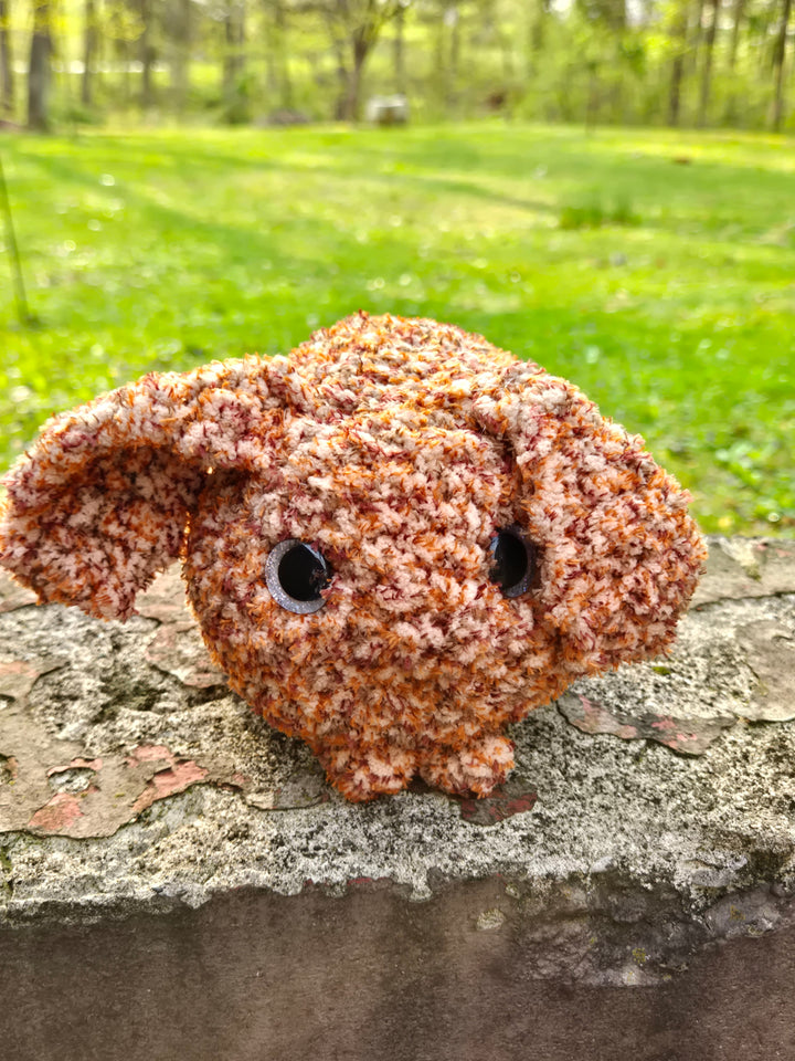 Bunny