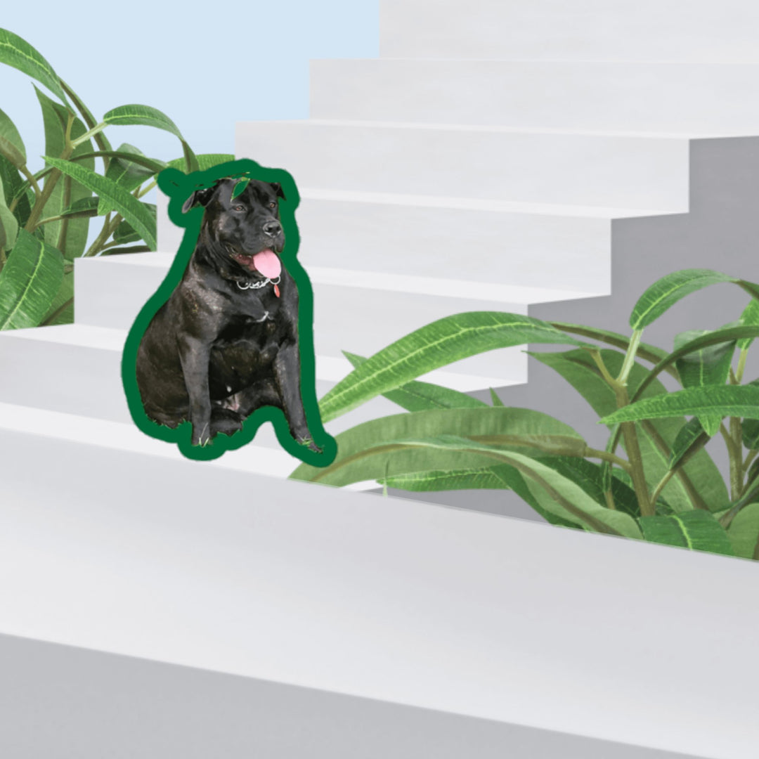 Spring Time Good Girl sticker on stairs surrounded by greenery.
