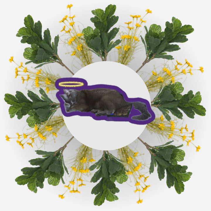 Sleeping Angel Ver. 2 featuring a cat with a halo surrounded by flowers and leaves.