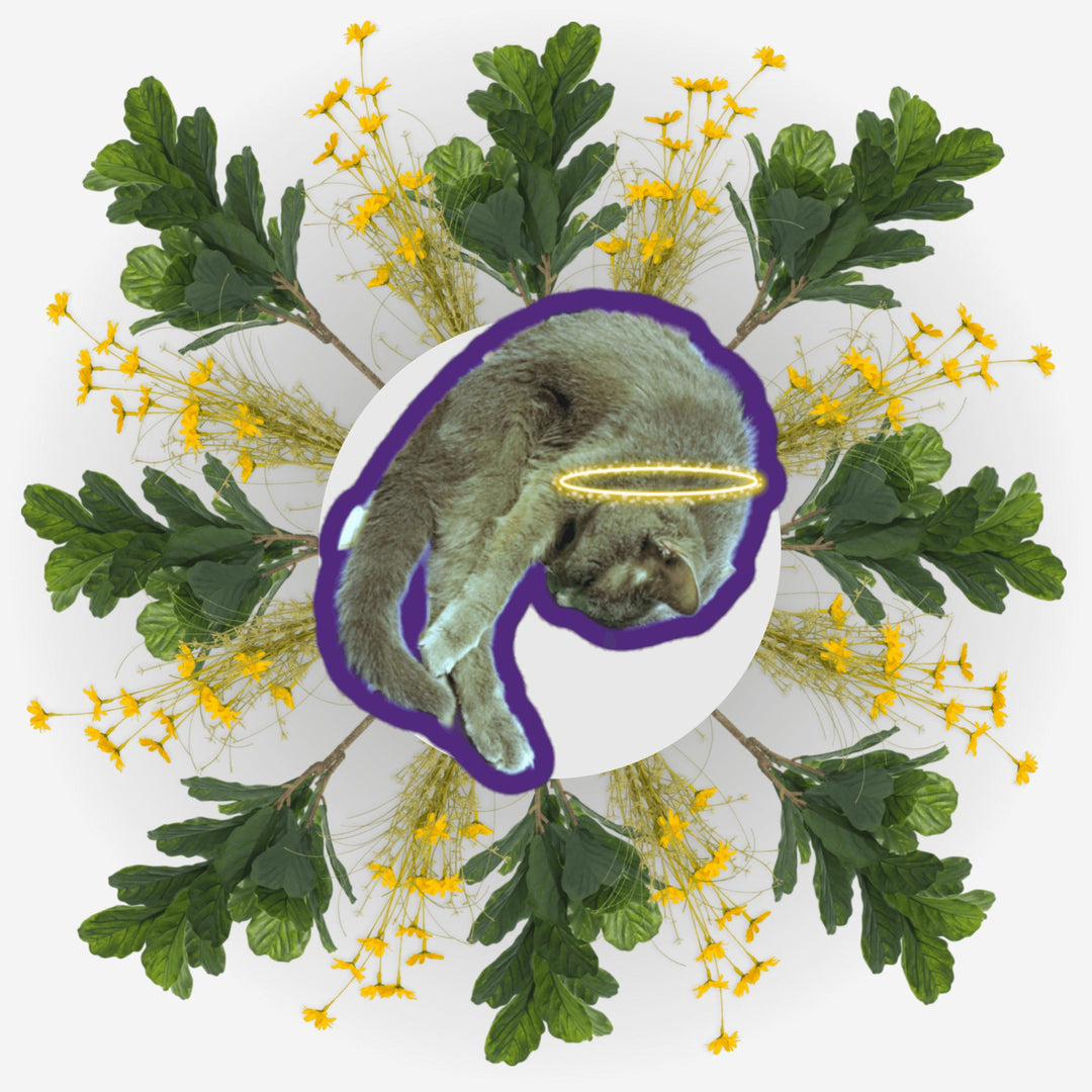Sleeping Yoga sticker featuring a cat surrounded by flowers and leaves, representing peace and tranquility.