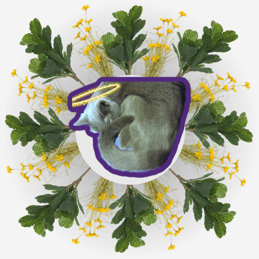 Cuddle Buddy Angel featuring a cute pet illustration surrounded by flowers and leaves.