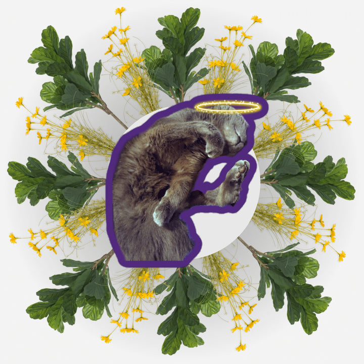 Sleeping Yoga Ver. 2 sticker featuring a cat&
