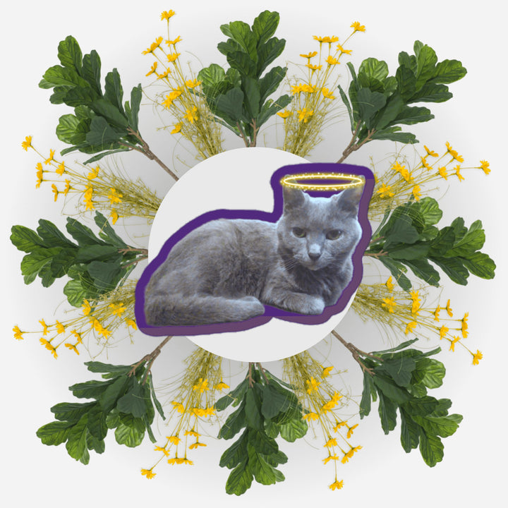 Sitting Pretty sticker of a gray cat with a halo surrounded by flowers and leaves, representing love and remembrance.