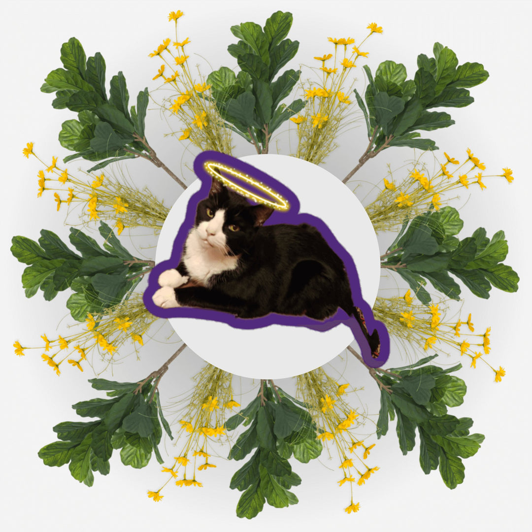 Sitting Pretty Bubs Ver. sticker design featuring a cat with an angel halo surrounded by flowers and foliage.