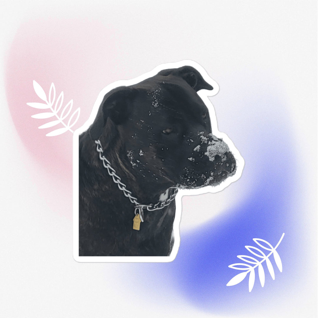 Snow Time Good Girl sticker featuring a dog with snow on its face, showcasing winter fun and durability.