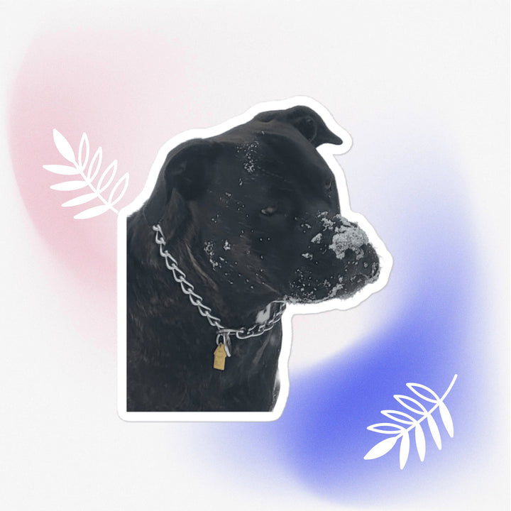 Snow Time Good Girl sticker featuring a dog with snow on its face, showcasing winter fun and durability.