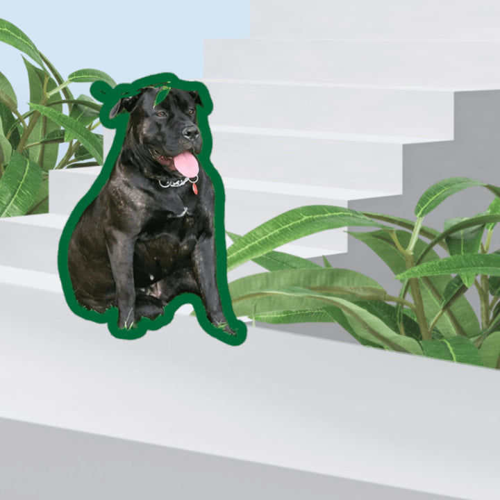 Spring Time Good Girl sticker featuring a black dog sitting on white stairs among green plants.