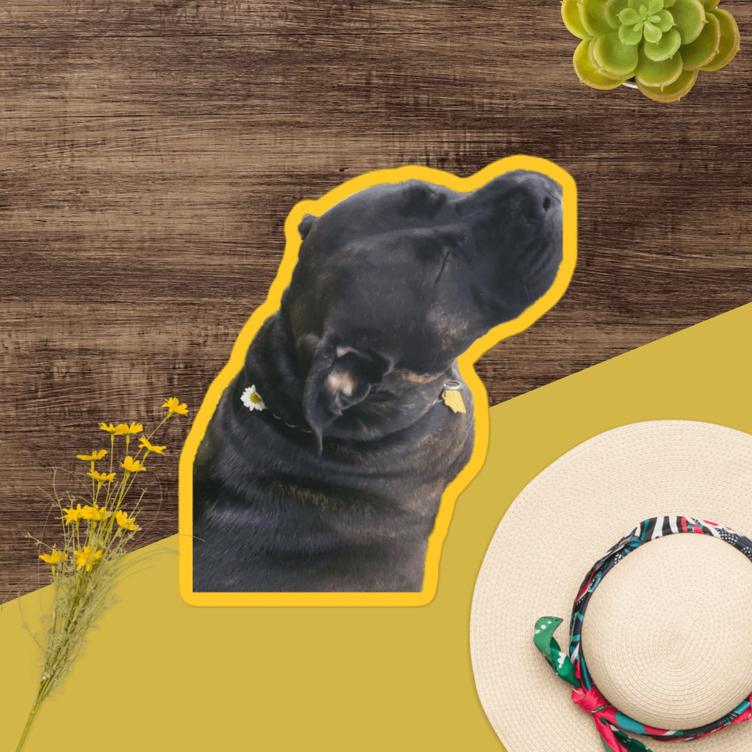 Sunny Girl sticker featuring a happy dog with a yellow outline on a wooden background.