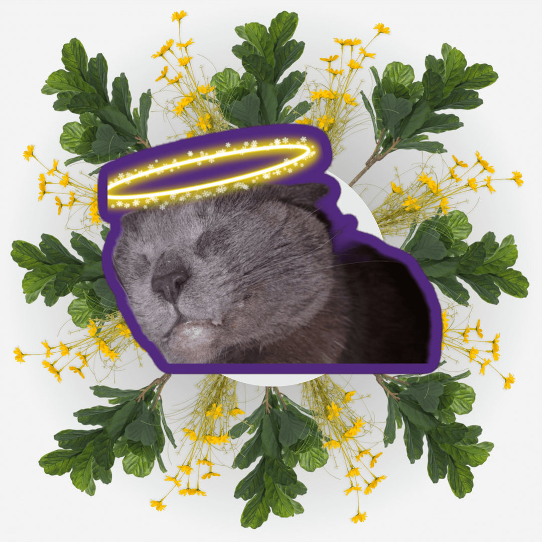Sleeping Angel sticker featuring a serene cat surrounded by flowers and leaves.