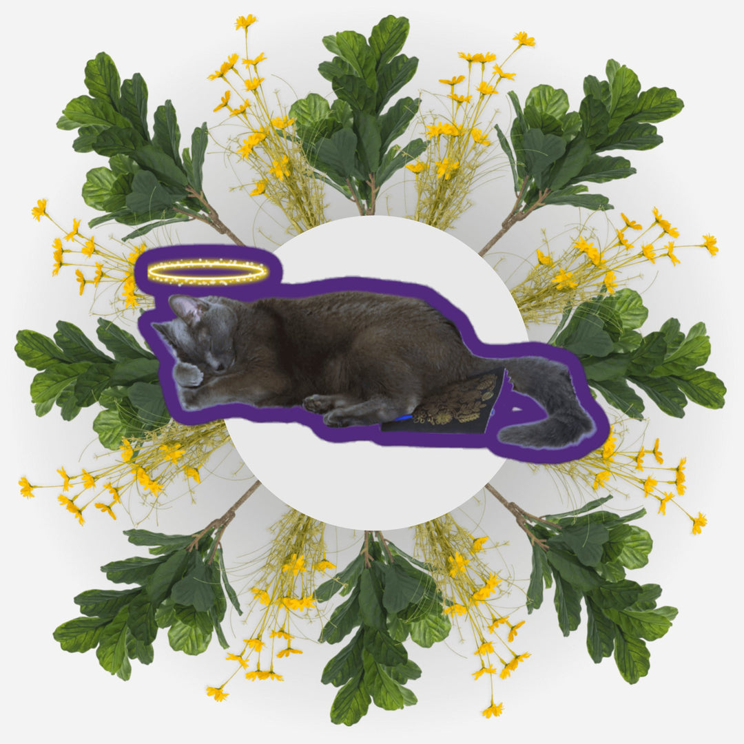 Sleeping Angel Ver. 2 sticker design featuring a gray cat with a halo surrounded by vibrant flowers.