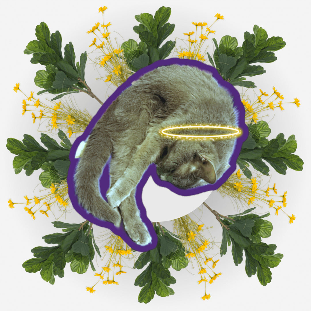 Sleeping Yoga sticker featuring a cat surrounded by flowers, honoring pets in the Angels collection.