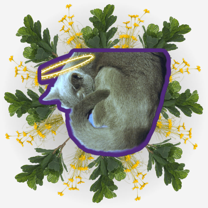 Cuddle Buddy Angel sticker featuring a beloved cat with a halo surrounded by flowers and leaves.