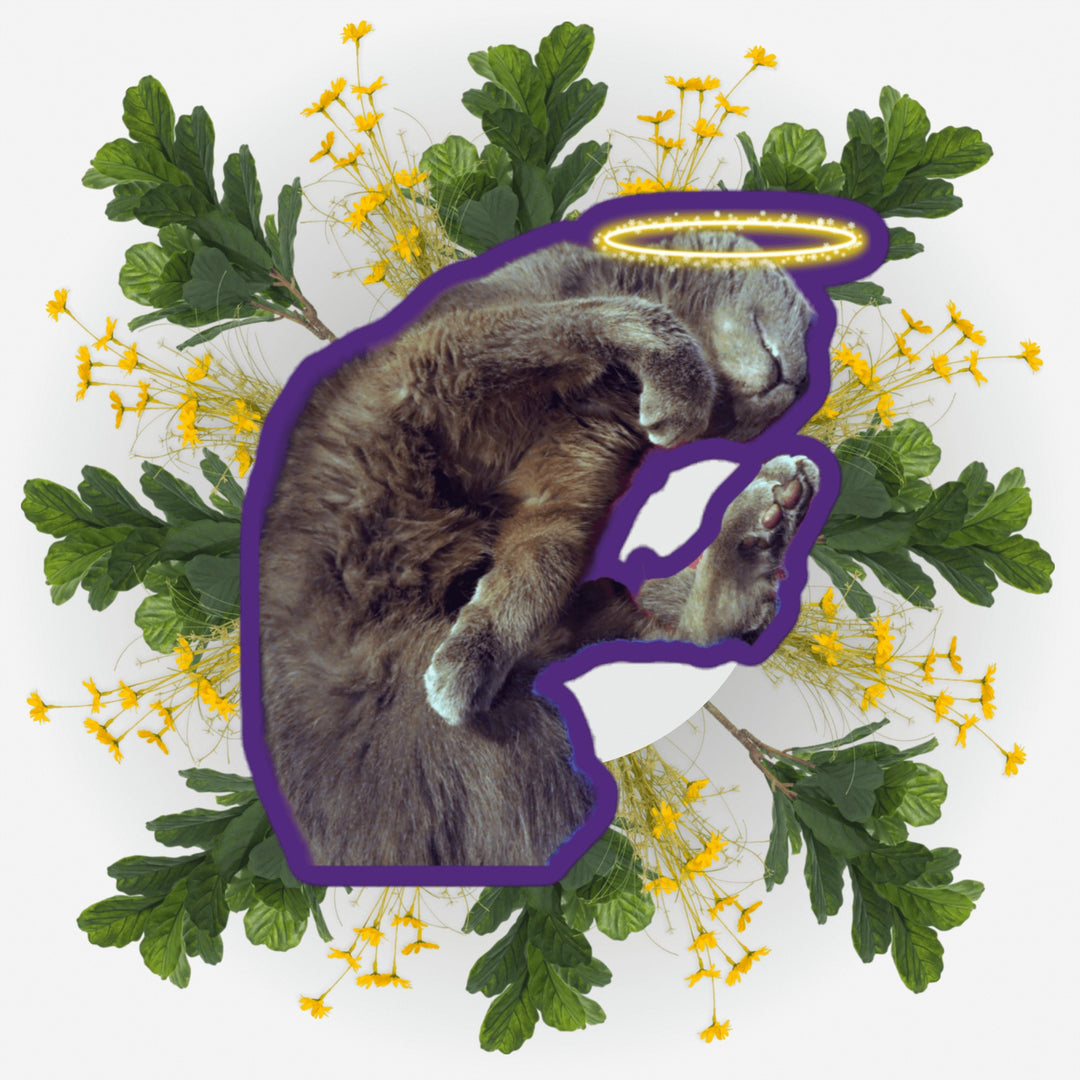Sleeping Yoga Ver. 2 sticker featuring a cat with a halo surrounded by flowers.