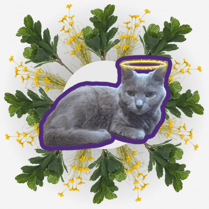 Sitting Pretty sticker featuring a gray cat surrounded by flowers and leaves, honoring beloved pets.