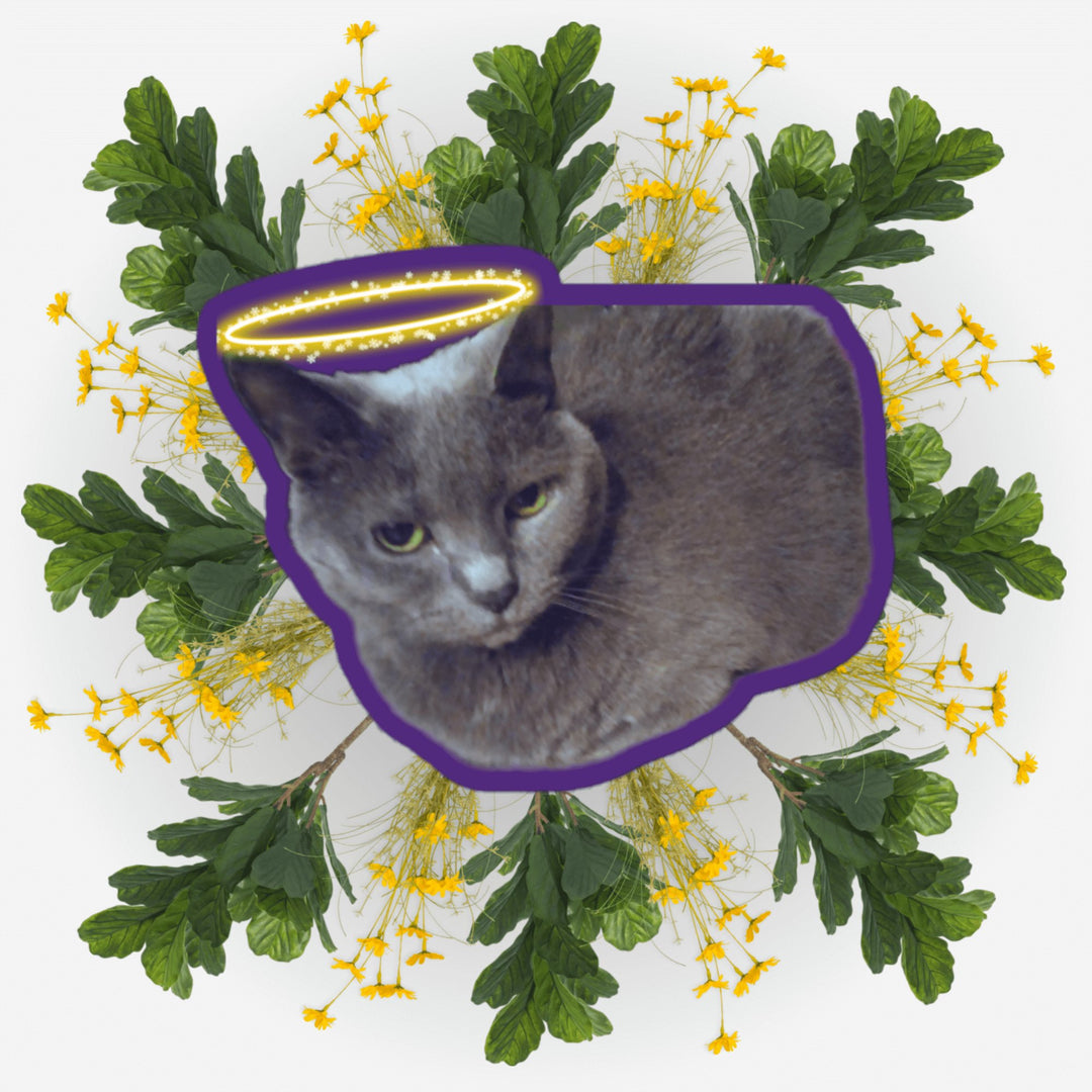 Loafing Angel sticker featuring a beloved cat surrounded by flowers and greenery.