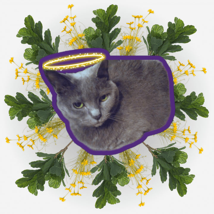 Loafing Angel sticker featuring a beloved cat surrounded by flowers and greenery.