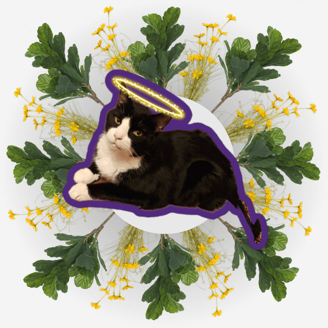 Sitting Pretty Bubs Ver. sticker featuring a cat with a halo surrounded by flowers and leaves.