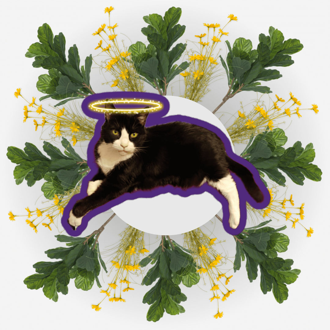 Lounging Angel sticker featuring a cat with a halo surrounded by vibrant flowers and leaves.