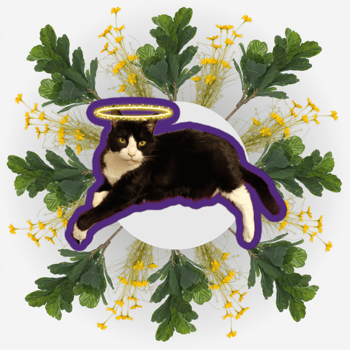 Lounging Angel sticker featuring a cat with a halo surrounded by vibrant flowers and leaves.