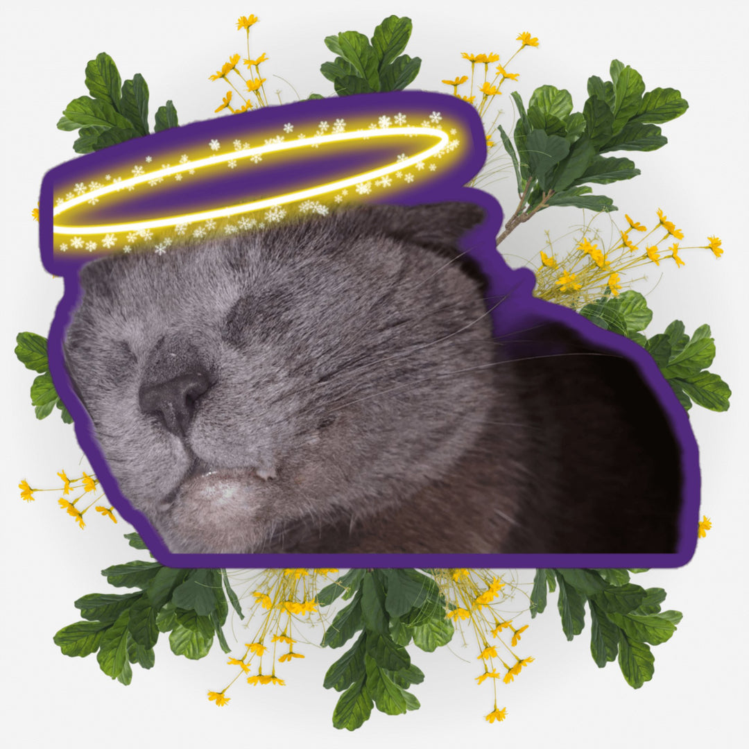 Sleeping Angel sticker featuring a cat face with a halo and floral background, symbolizing love and remembrance.