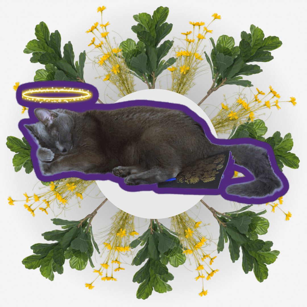 Sleeping Angel Ver. 2 sticker featuring a cat with a halo surrounded by yellow flowers.