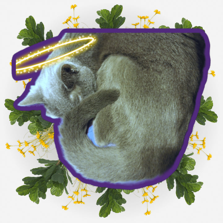 Cuddle Buddy Angel sticker featuring a sleeping cat with a halo and surrounded by flowers.