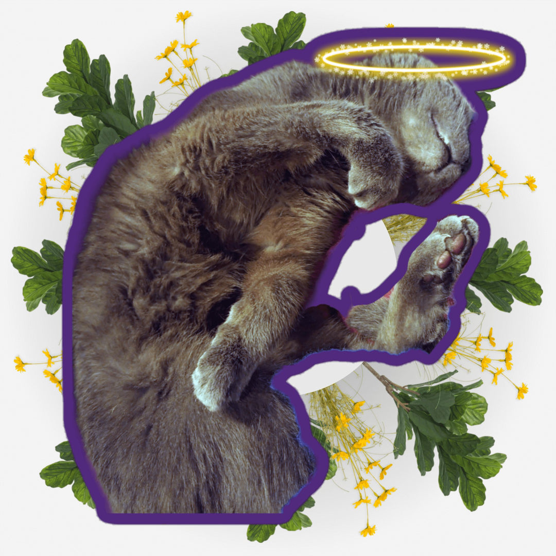 Sleeping Yoga Ver. 2 sticker design featuring a cat with a halo and floral accents.