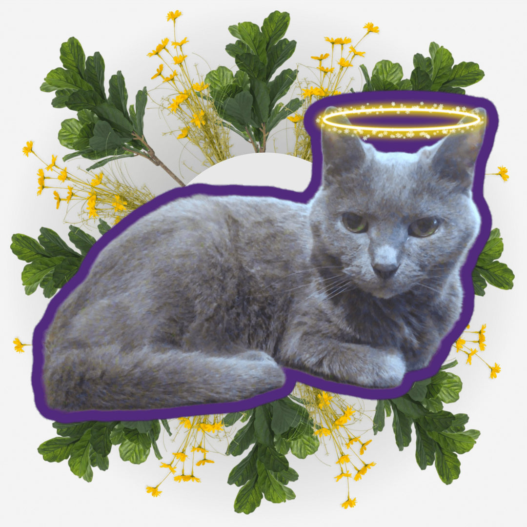 Sitting Pretty sticker featuring a grey cat surrounded by yellow flowers and greenery.