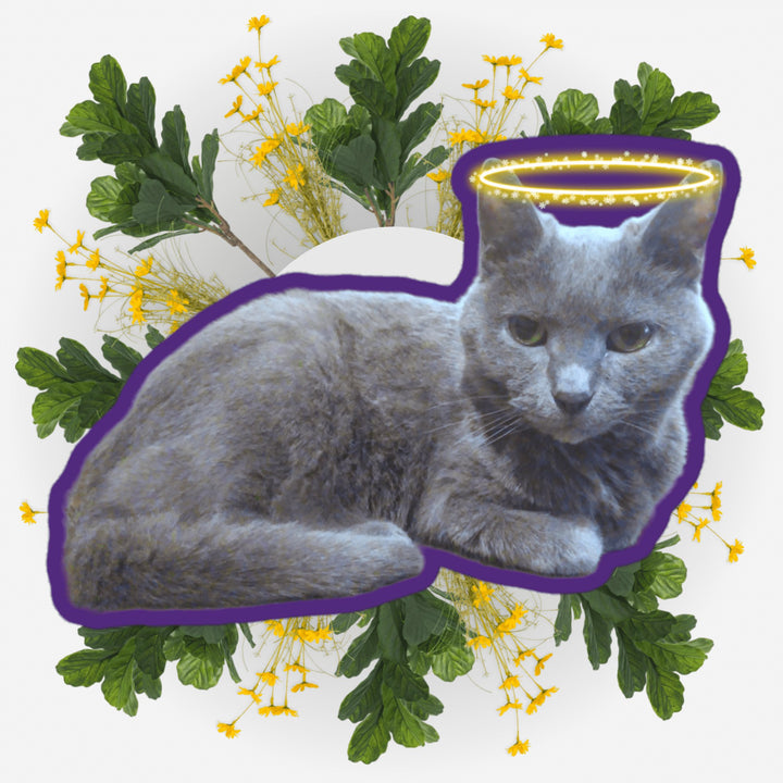 Sitting Pretty sticker featuring a grey cat surrounded by yellow flowers and greenery.