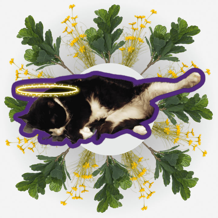 Sleeping Yoga Bubs Ver. sticker featuring a cat with a halo surrounded by flowers and leaves.