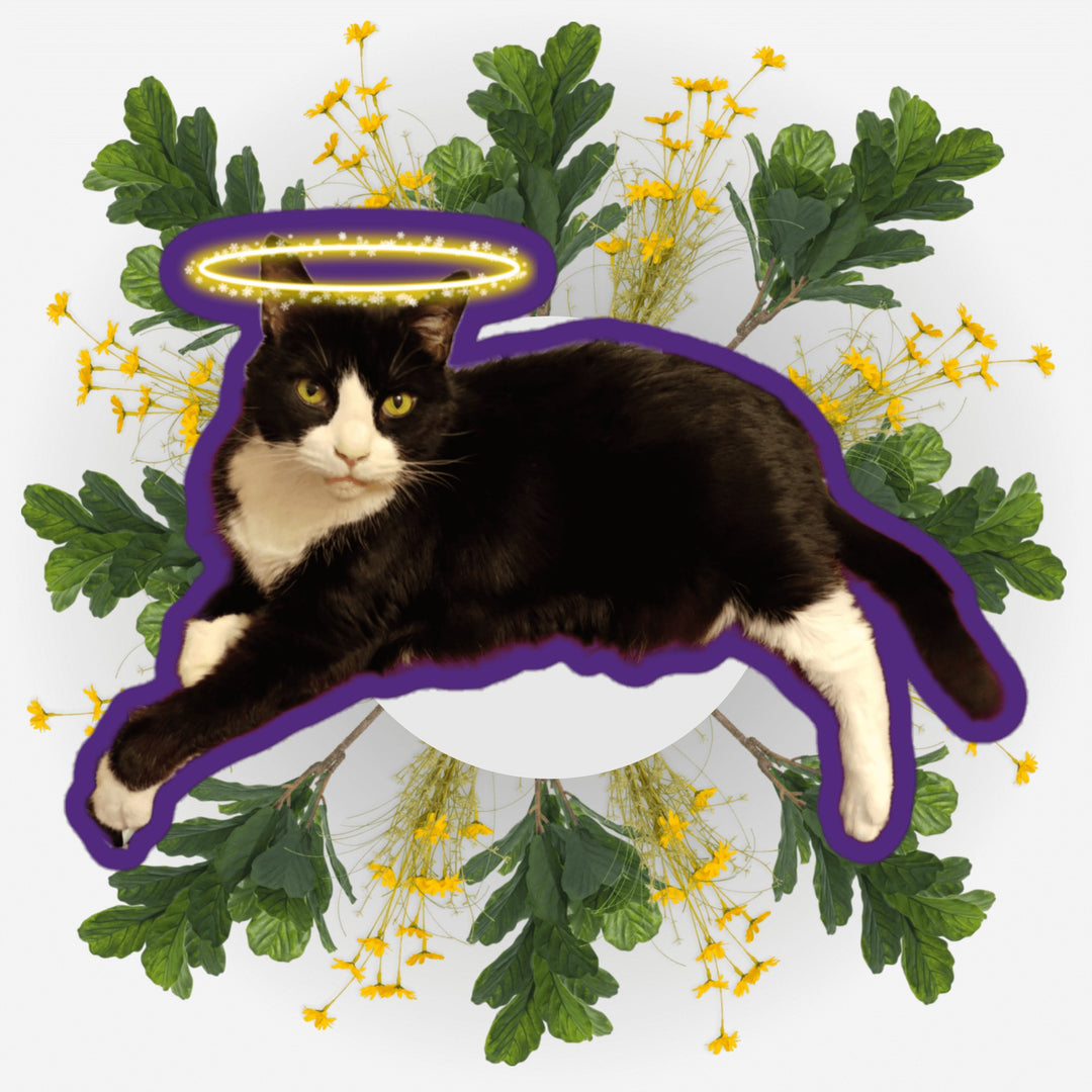 Lounging Angel sticker featuring a cat with a halo surrounded by vibrant foliage and flowers.